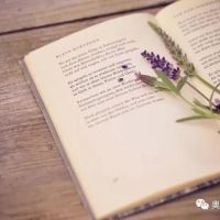 相約夏季，在奧邦邂逅書香